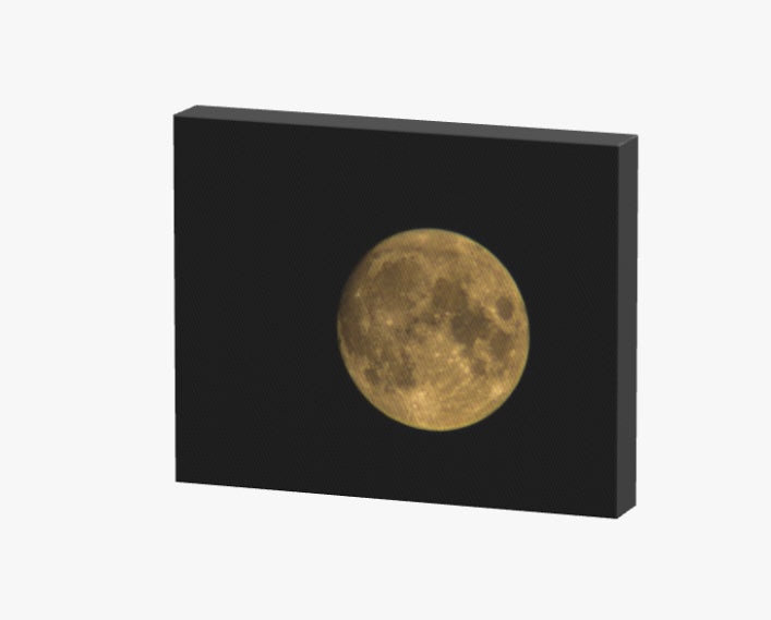 Full Moon Canvas Print